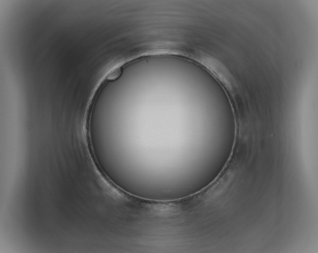 X0000110871189200906251222