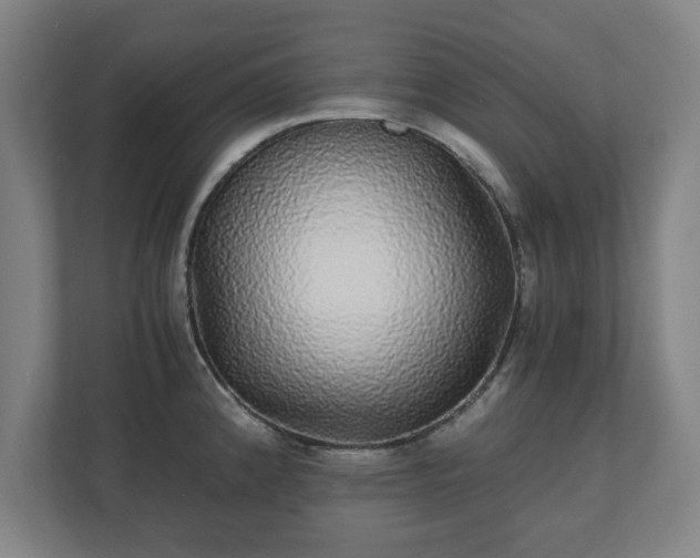 X0000110871192200906251222