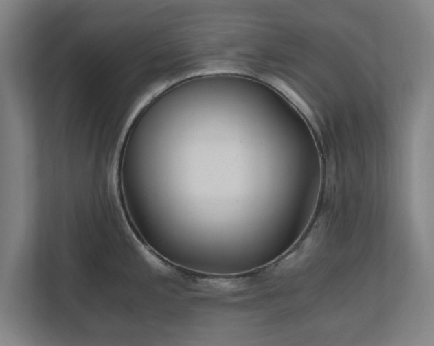 X0000110871197200906251222