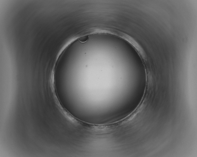 X0000110871198200906251222