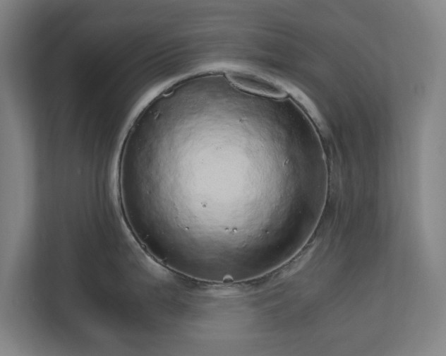 X0000110871199200906251222