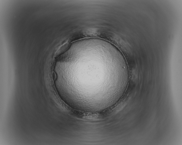 X0000110871201200906251221