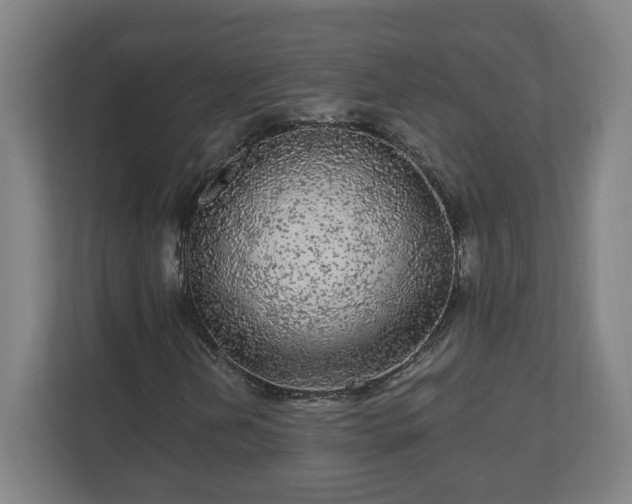 X0000110871202200906251221