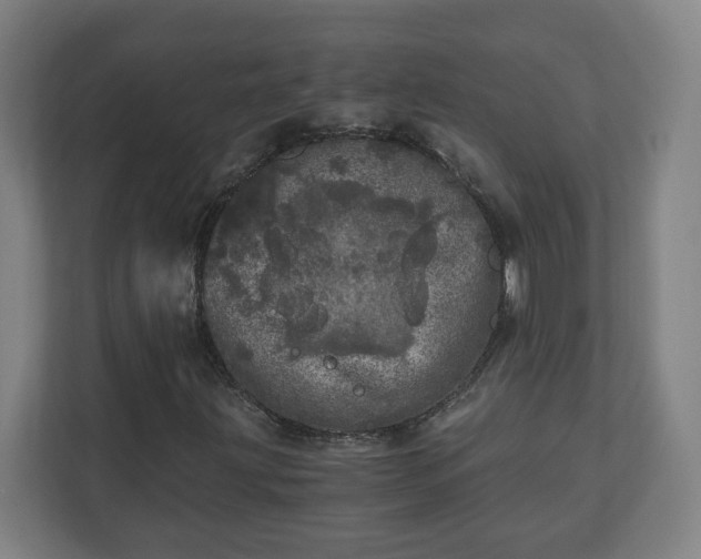 X0000110871203200906251221