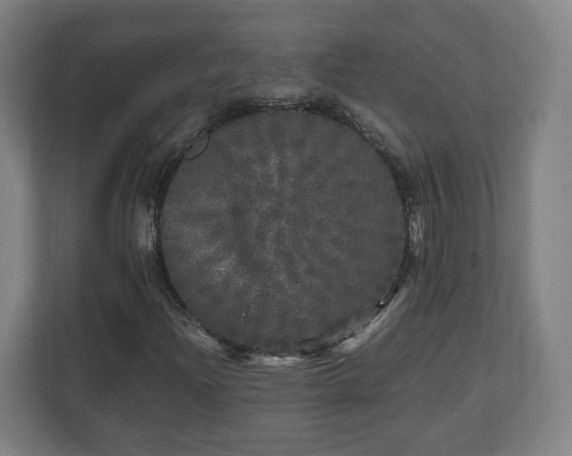 X0000110871204200906251221