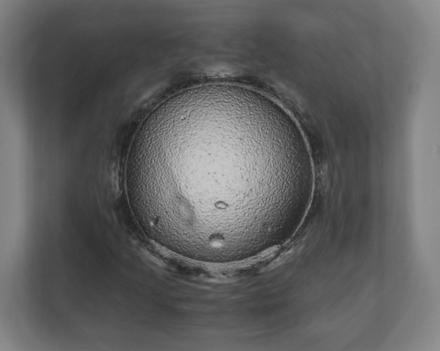 X0000110871205200906251221