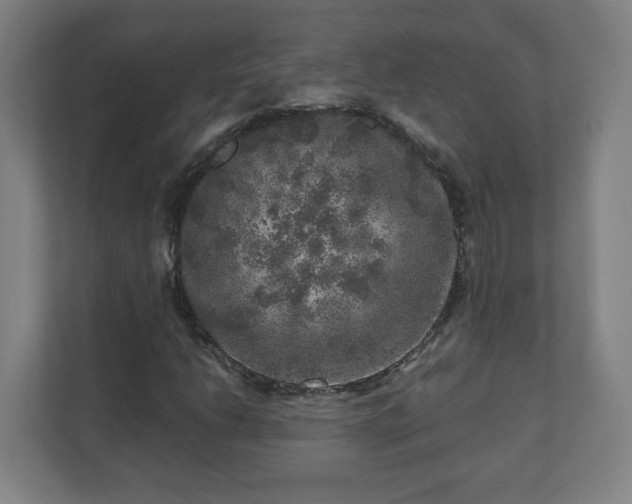 X0000110871206200906251221