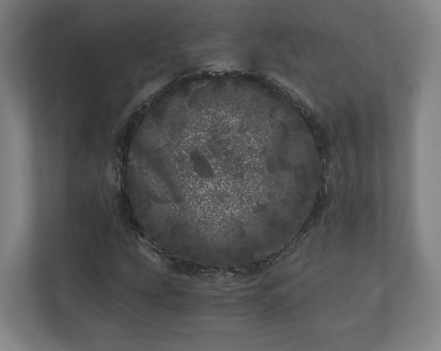 X0000110871207200906251221