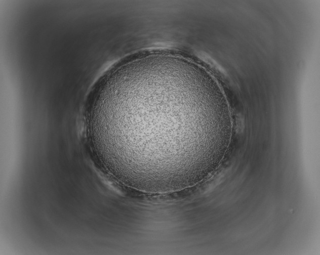 X0000110871208200906251221