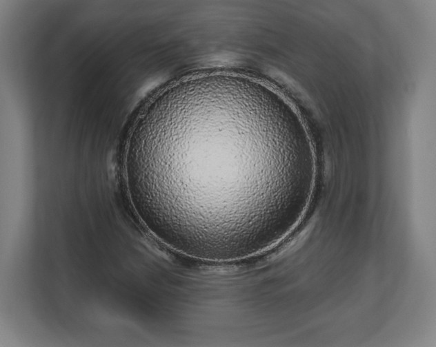 X0000110871210200906251222