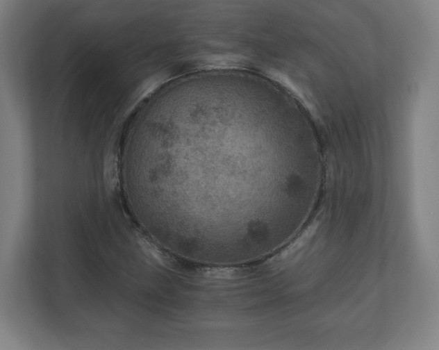 X0000110871211200906251222