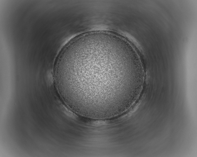 X0000110871212200906251222