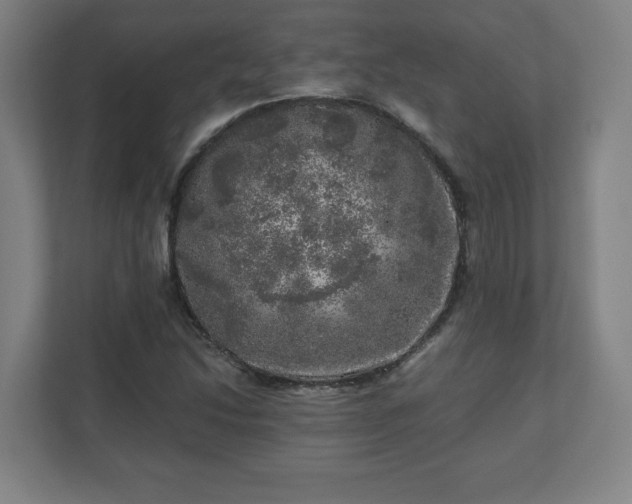 X0000110871214200906251222