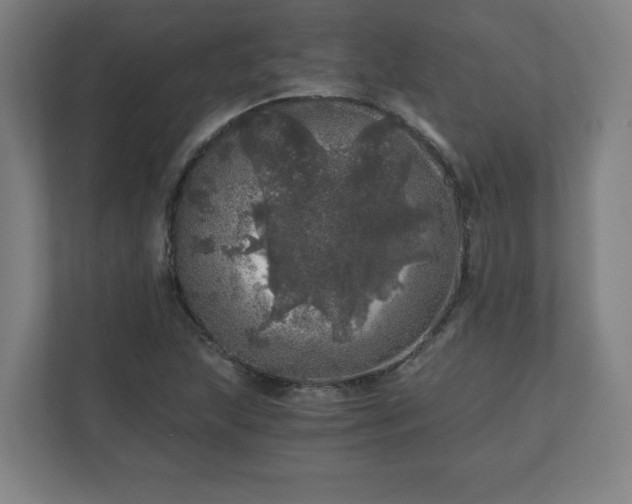 X0000110871215200906251222