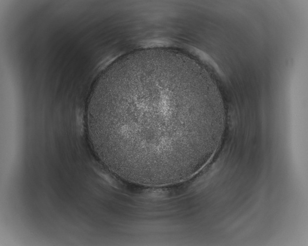 X0000110871217200906251222