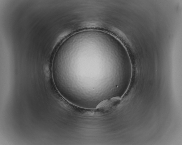 X0000110871218200906251222