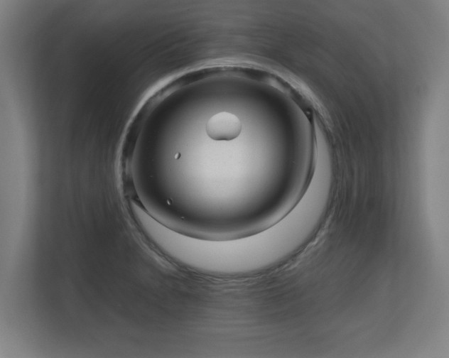 X0000110871230200906251222