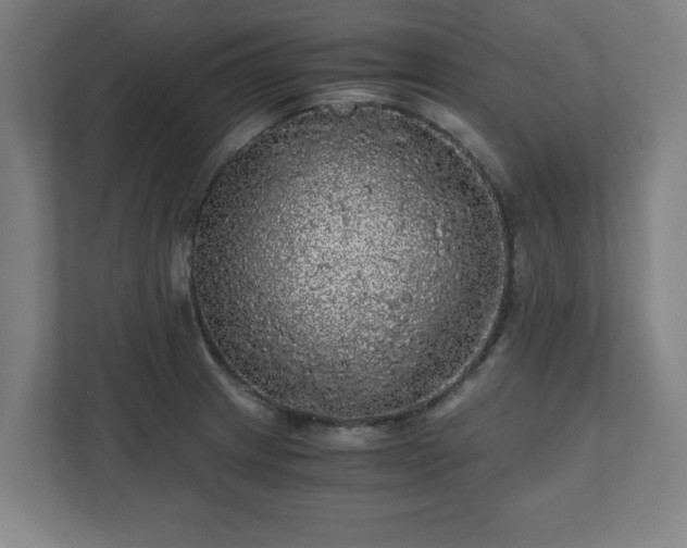 X0000110871233200906251222