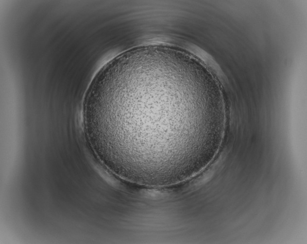 X0000110871234200906251222