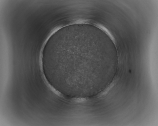 X0000110871235200906251222