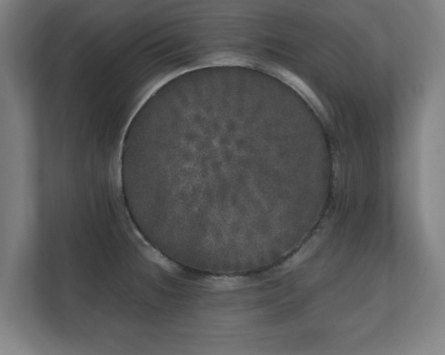 X0000110871236200906251222