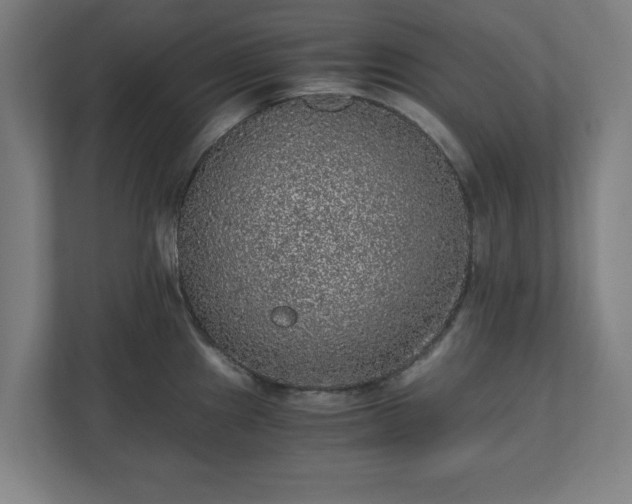 X0000110871241200906251222