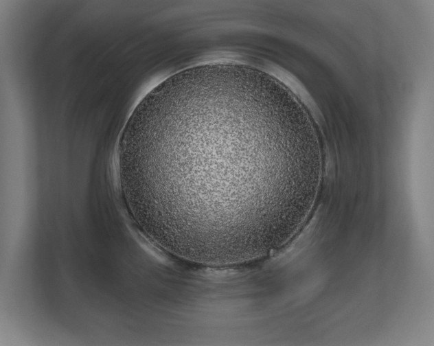 X0000110871242200906251222