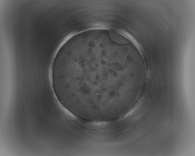 X0000110871243200906251222