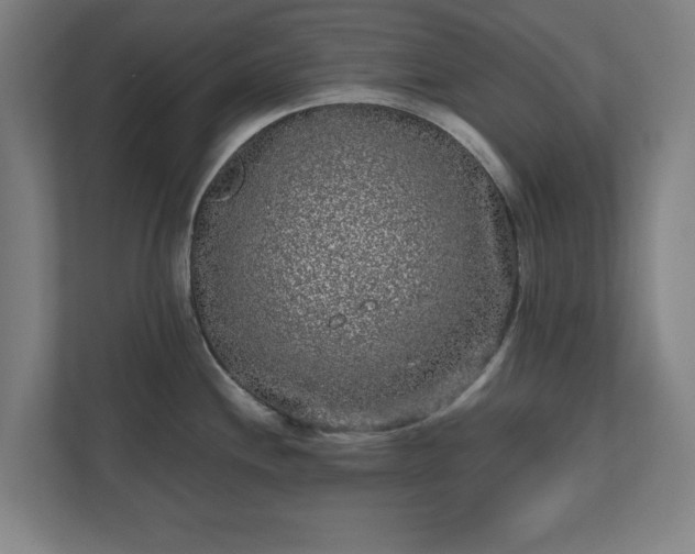 X0000110871244200906251222