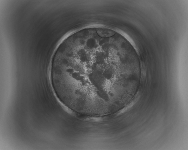 X0000110871245200906251222