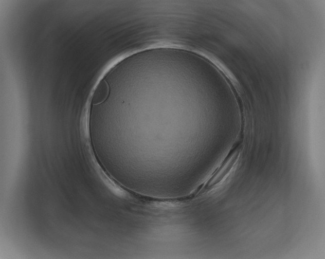 X0000110871246200906251222