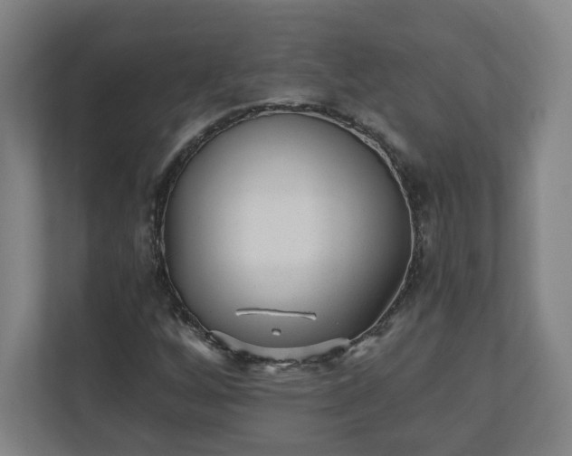 X0000110871256200906251221