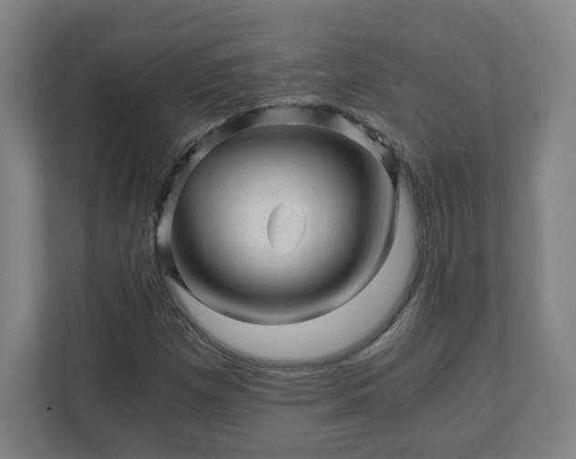 X0000110871257200906251221