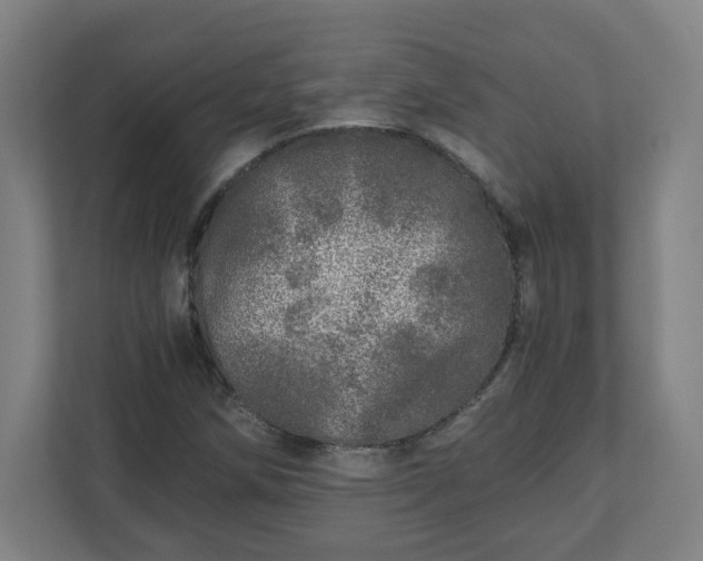 X0000110871258200906251221