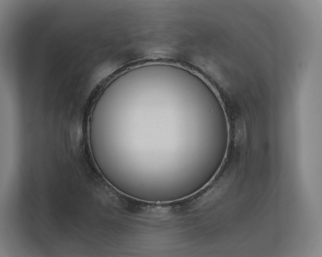 X0000110871261200906251221