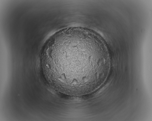 X0000110871263200906251221