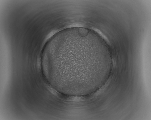 X0000110871266200906251221