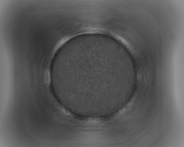 X0000110871267200906251221