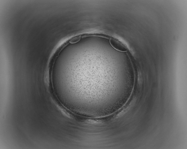 X0000110871270200906251221