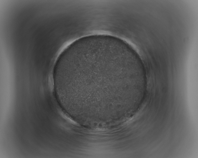 X0000110871271200906251221