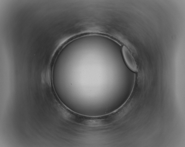 X0000110871272200906251221