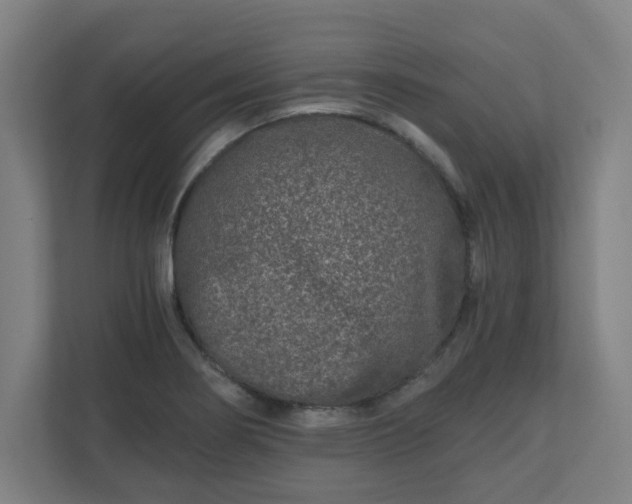 X0000110871274200906251221