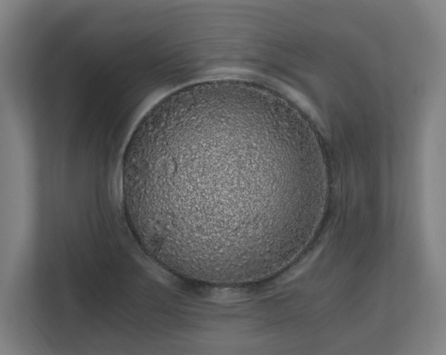 X0000110871275200906251221