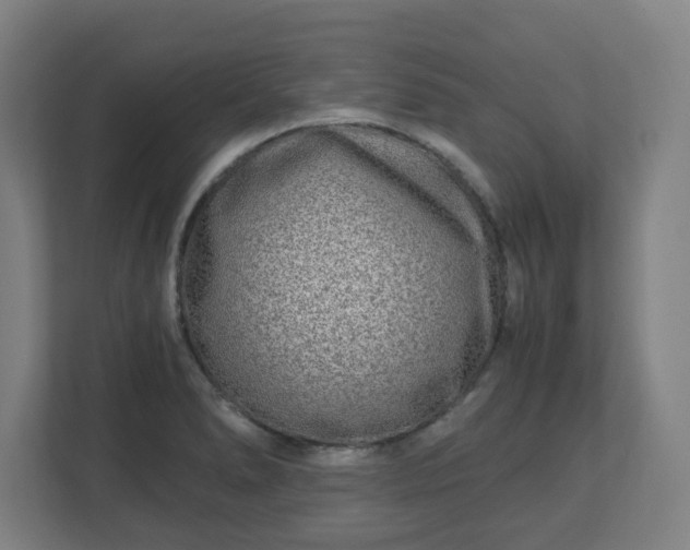 X0000110871278200906251221