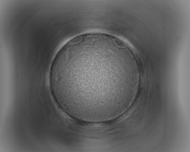 X0000110871279200906251221