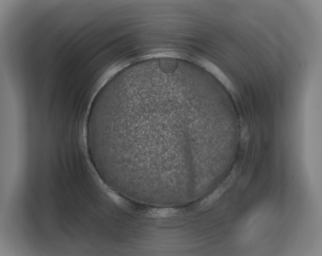 X0000110871282200906251221