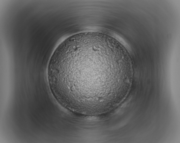 X0000110871283200906251221