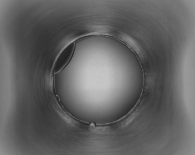 X0000110871284200906251221