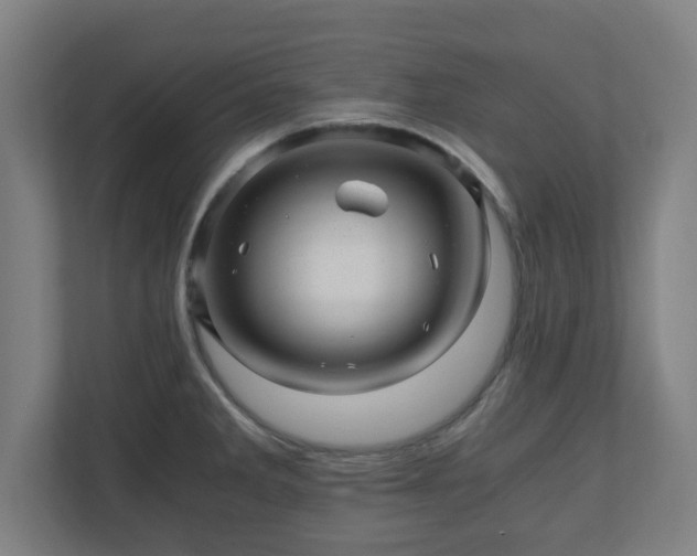 X0000110871285200906251221