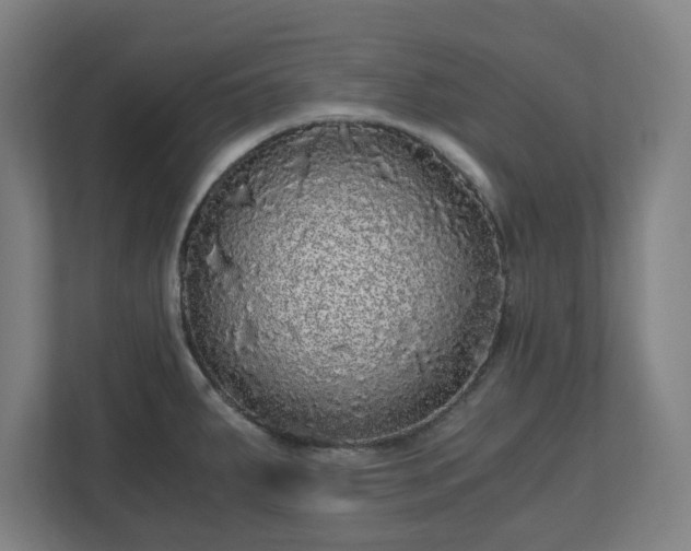 X0000110871287200906251221